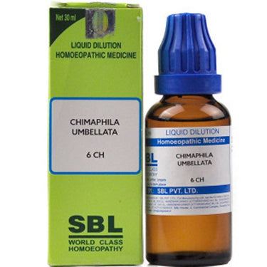 https://cdn.shopify.com/s/files/1/1857/6931/products/NjR91Suf37.jpg?v=1635318904